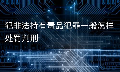 犯非法持有毒品犯罪一般怎样处罚判刑