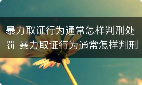 暴力取证行为通常怎样判刑处罚 暴力取证行为通常怎样判刑处罚的
