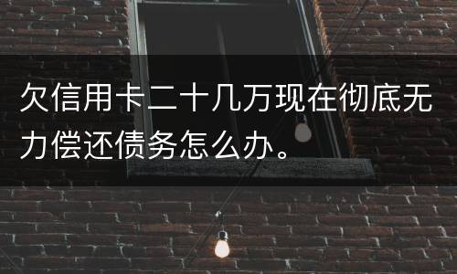 欠信用卡二十几万现在彻底无力偿还债务怎么办。