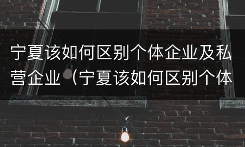 宁夏该如何区别个体企业及私营企业（宁夏该如何区别个体企业及私营企业呢）