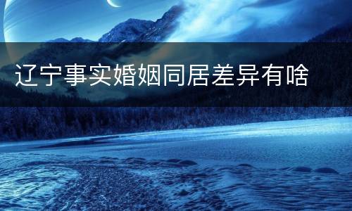 辽宁事实婚姻同居差异有啥