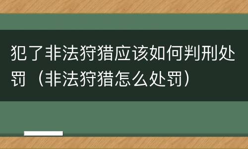 犯了非法狩猎应该如何判刑处罚（非法狩猎怎么处罚）