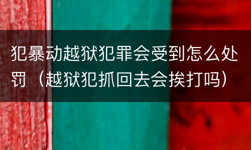 犯暴动越狱犯罪会受到怎么处罚（越狱犯抓回去会挨打吗）