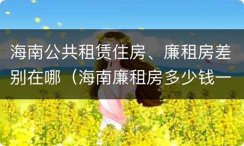 海南公共租赁住房、廉租房差别在哪（海南廉租房多少钱一平方）