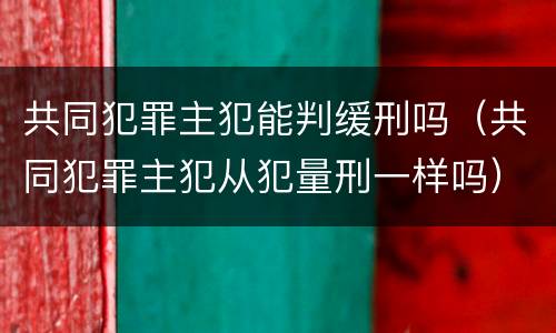 共同犯罪主犯能判缓刑吗（共同犯罪主犯从犯量刑一样吗）