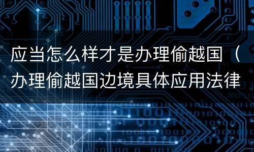 应当怎么样才是办理偷越国（办理偷越国边境具体应用法律的解释）