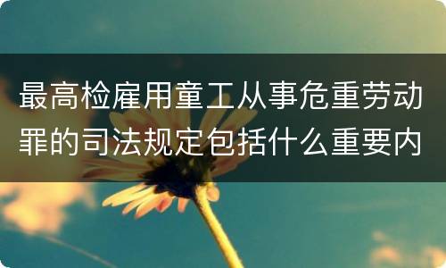 最高检雇用童工从事危重劳动罪的司法规定包括什么重要内容