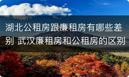 湖北公租房跟廉租房有哪些差别 武汉廉租房和公租房的区别