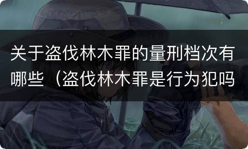 关于盗伐林木罪的量刑档次有哪些（盗伐林木罪是行为犯吗）