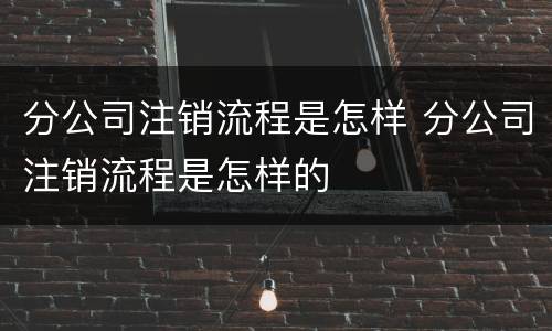 分公司注销流程是怎样 分公司注销流程是怎样的