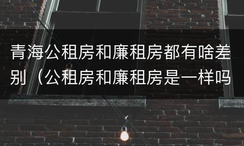 青海公租房和廉租房都有啥差别（公租房和廉租房是一样吗）