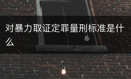 对暴力取证定罪量刑标准是什么
