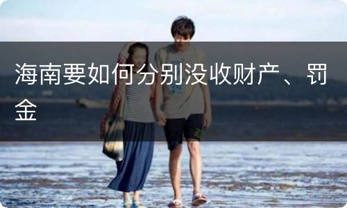 海南要如何分别没收财产、罚金
