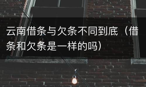 云南借条与欠条不同到底（借条和欠条是一样的吗）