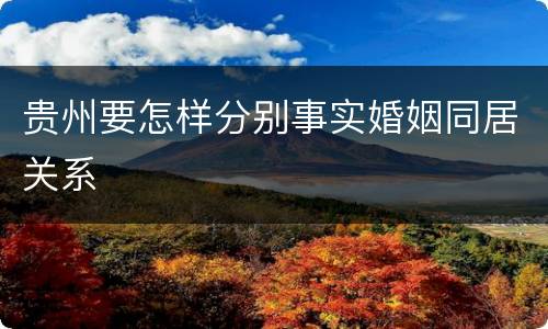 贵州要怎样分别事实婚姻同居关系