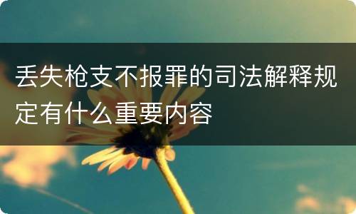 丢失枪支不报罪的司法解释规定有什么重要内容