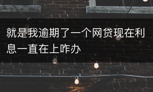 就是我逾期了一个网贷现在利息一直在上咋办