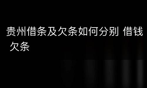 贵州借条及欠条如何分别 借钱 欠条