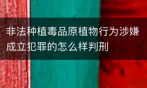 非法种植毒品原植物行为涉嫌成立犯罪的怎么样判刑