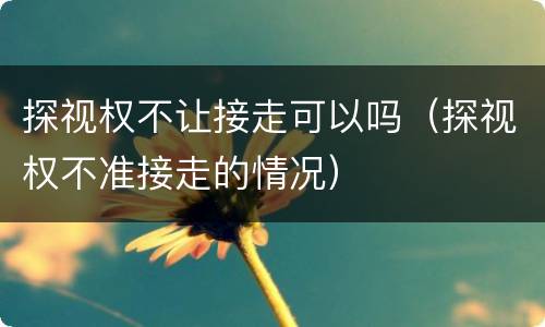 探视权不让接走可以吗（探视权不准接走的情况）