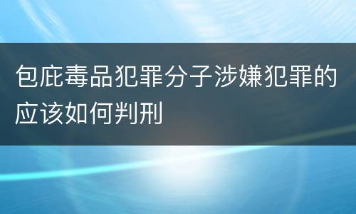 包庇毒品犯罪分子涉嫌犯罪的应该如何判刑