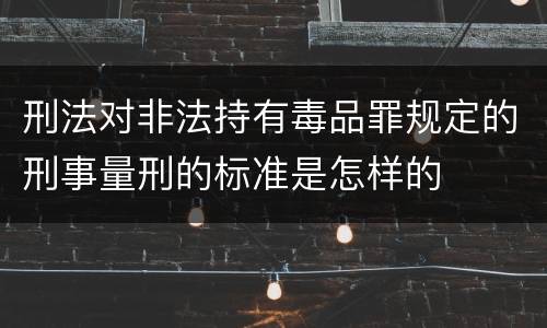 刑法对非法持有毒品罪规定的刑事量刑的标准是怎样的