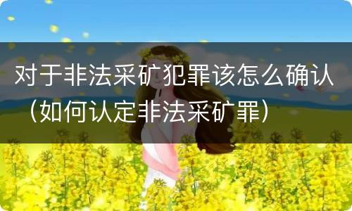对于非法采矿犯罪该怎么确认（如何认定非法采矿罪）