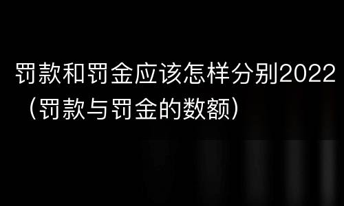 罚款和罚金应该怎样分别2022（罚款与罚金的数额）