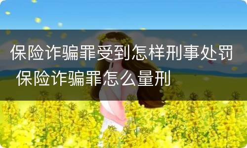 保险诈骗罪受到怎样刑事处罚 保险诈骗罪怎么量刑