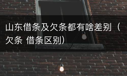 山东借条及欠条都有啥差别（欠条 借条区别）