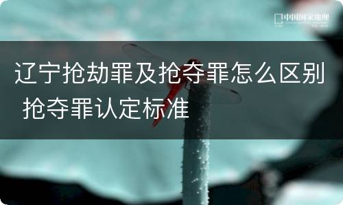 辽宁抢劫罪及抢夺罪怎么区别 抢夺罪认定标准