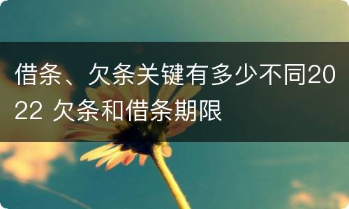 借条、欠条关键有多少不同2022 欠条和借条期限