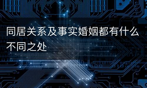 同居关系及事实婚姻都有什么不同之处