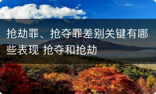 抢劫罪、抢夺罪差别关键有哪些表现 抢夺和抢劫