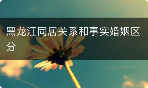 黑龙江同居关系和事实婚姻区分
