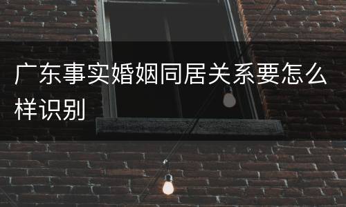 广东事实婚姻同居关系要怎么样识别