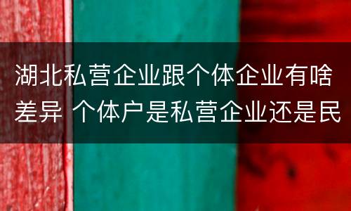 湖北私营企业跟个体企业有啥差异 个体户是私营企业还是民营企业
