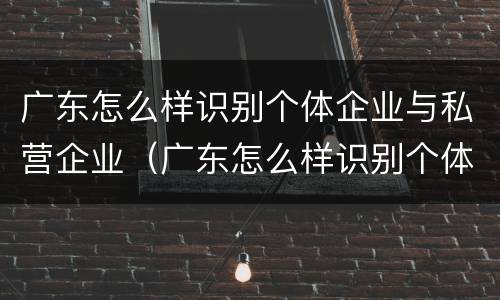 广东怎么样识别个体企业与私营企业（广东怎么样识别个体企业与私营企业的区别）