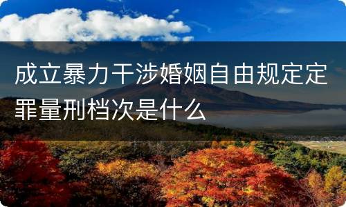 成立暴力干涉婚姻自由规定定罪量刑档次是什么
