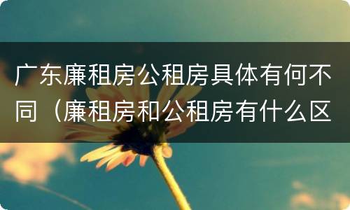 广东廉租房公租房具体有何不同（廉租房和公租房有什么区别广州）