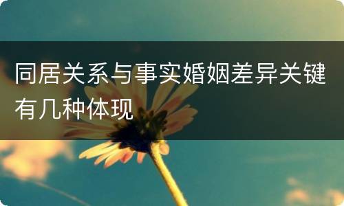 同居关系与事实婚姻差异关键有几种体现
