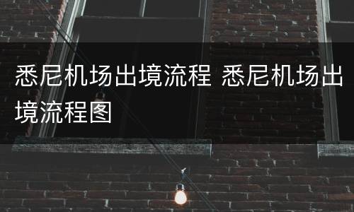 悉尼机场出境流程 悉尼机场出境流程图