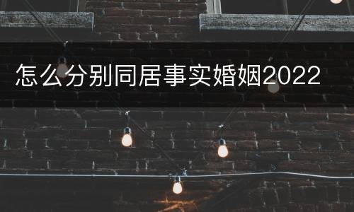 怎么分别同居事实婚姻2022