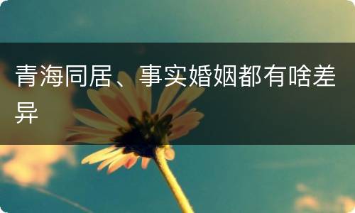 青海同居、事实婚姻都有啥差异