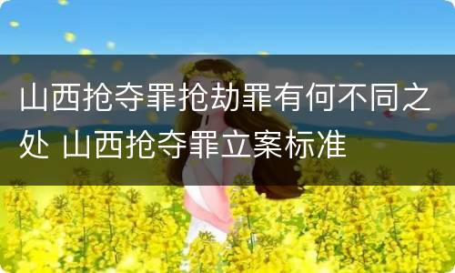 山西抢夺罪抢劫罪有何不同之处 山西抢夺罪立案标准