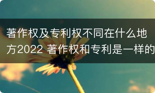著作权及专利权不同在什么地方2022 著作权和专利是一样的吗