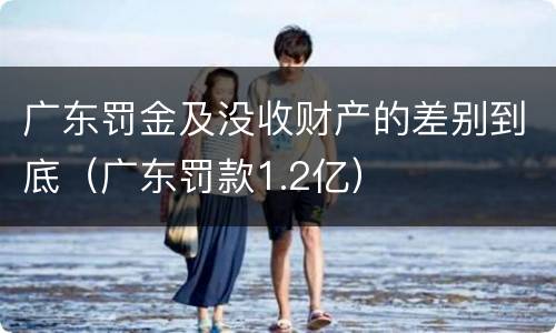 广东罚金及没收财产的差别到底（广东罚款1.2亿）