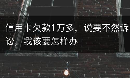 信用卡欠款1万多，说要不然诉讼，我该要怎样办