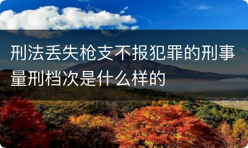 刑法丢失枪支不报犯罪的刑事量刑档次是什么样的