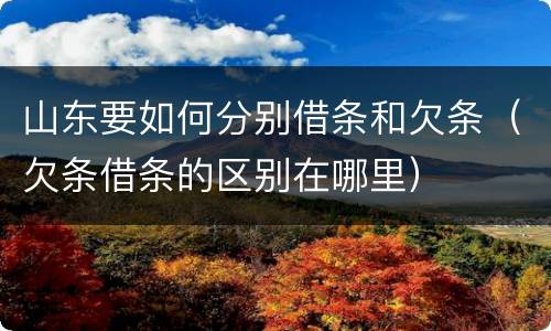 山东要如何分别借条和欠条（欠条借条的区别在哪里）